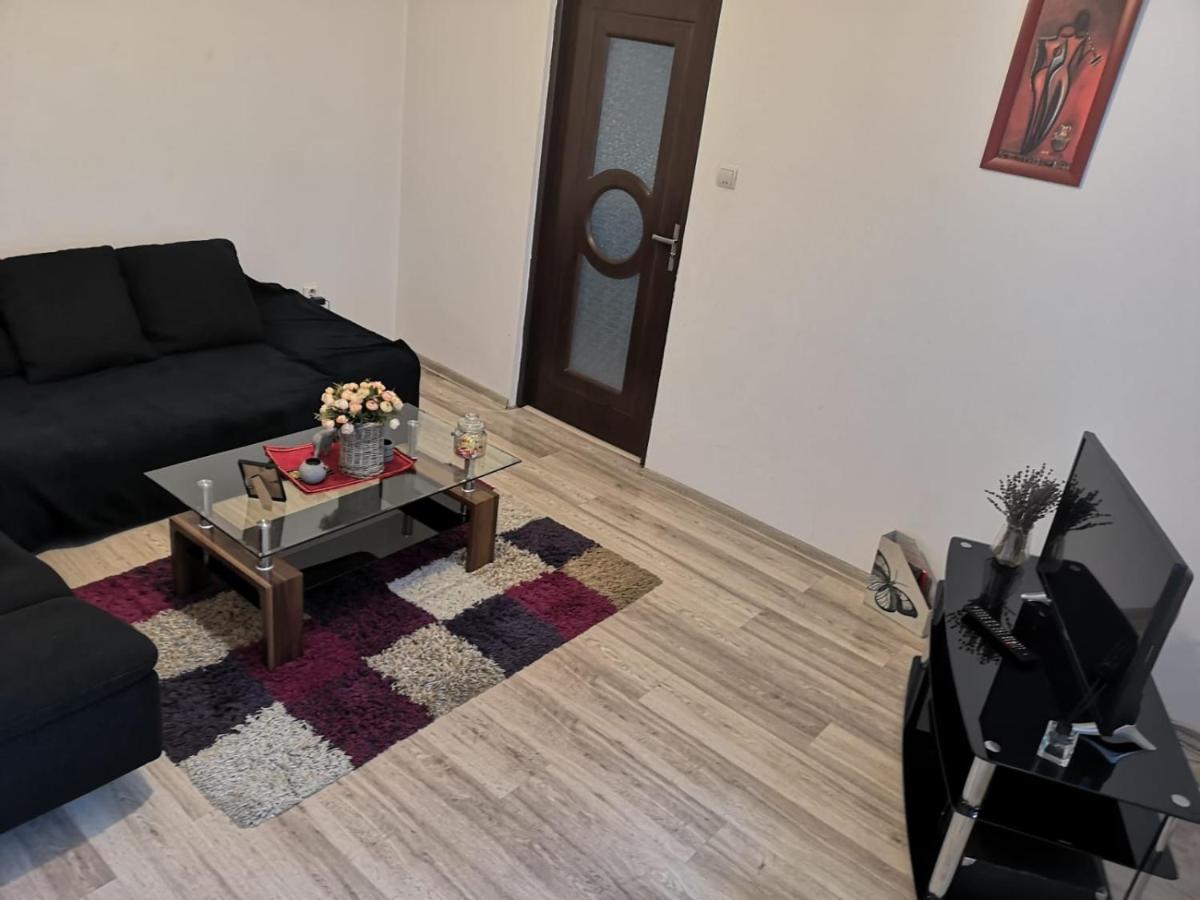 Deea Apartament Apartment Craiova Luaran gambar