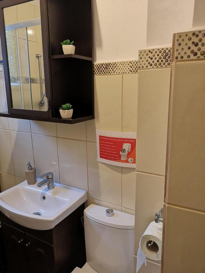 Deea Apartament Apartment Craiova Luaran gambar